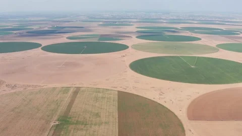 A view from a large field height in the form of a circle in Egypt. Growing and Stock Footage 145518781