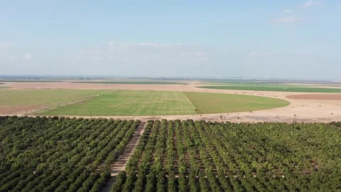 A view from a large field height in the form of a circle in Egypt. Growing and Stock Footage 145521988