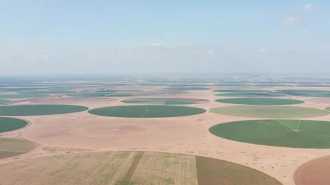 A view from a large field height in the form of a circle in Egypt. Growing and Stock Footage 145522165
