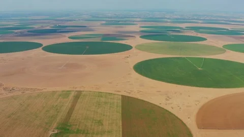 A view from a large field height in the form of a circle in Egypt. Growing and Stock Footage 145527579