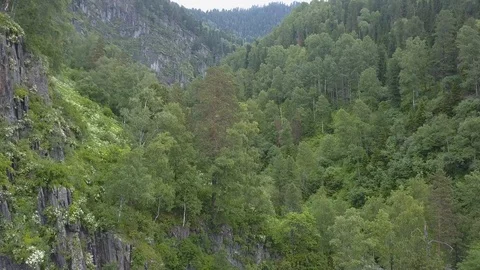 View of a large green forest in the mountains with a mountain river and a wat Stock Footage 114358375