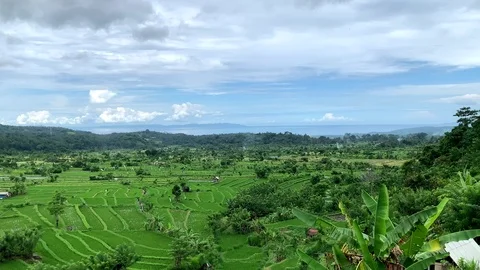 View of a large green rice field with high mountain volcano agung. background Stock Footage 115508140