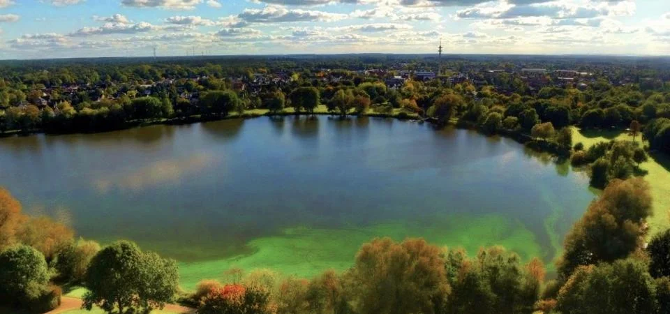 View of a large lake surrounded by trees and buildings during daytime with .. Stock Photos