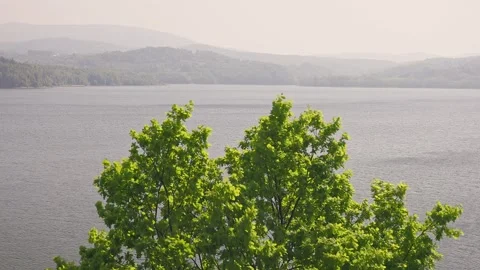 View of a large lake through the tree canopy Stock Footage 259742135