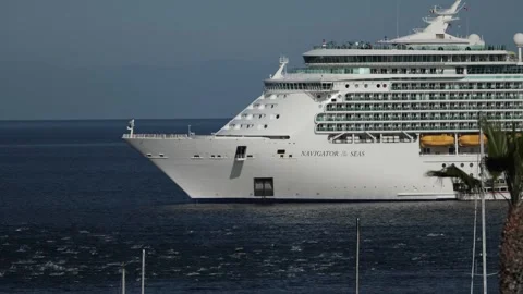 View of large number of dolphins in front of cruse boat Stock Footage 315780982
