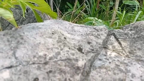View of a large rock with a rough surface and natural holes. Stock Footage 325643786