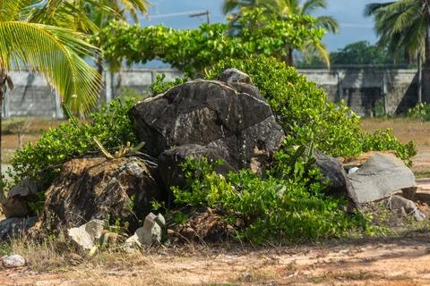 View of large rocks on a beach plot. Foto stock