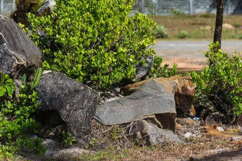  View of large rocks on a beach plot. Preserved environment. Salvador Bahi... 스톡 사진