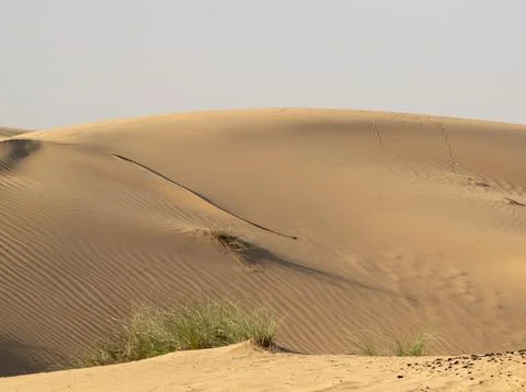 View of a large sand dune Stock Photos