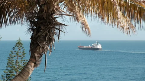 View of a large ship sailing on the blue ocean, seen through the leaves of a Stock Footage 279851917