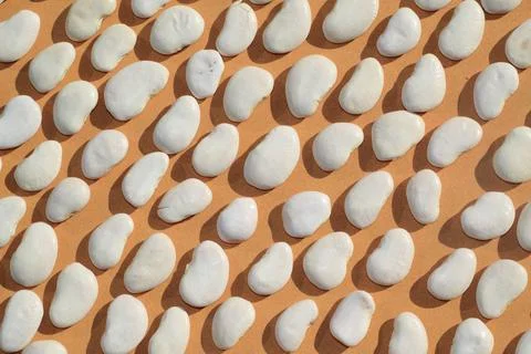 The view on the large white beans on the yellow textured background Stock Photos
