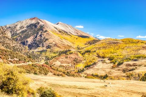 View from the Last Dollar Road Surrounded by Beautiful Yellow Aspen Trees in Stock Photos