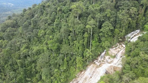 View Lata Kinjang in Perak Stock Footage 149210101