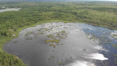 View of Lauretian Conservation Area Stock Footage 143168259