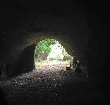 View of a lawn from inside a cave Stock Photos
