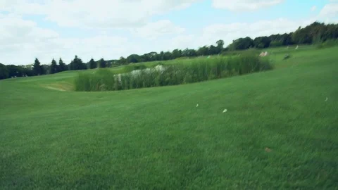 View of lawn rotating to upside down position Video stock 94460839