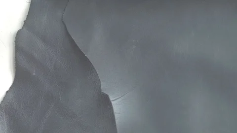View of a leather raw material Stock Footage 107963930