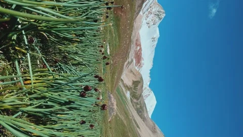 View of Lenin Peak, one of the highest peaks of Central Asia.  Stock Footage 255144284