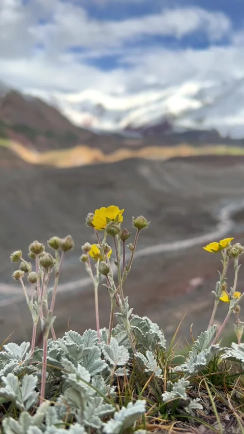 View of Lenin Peak, one of the highest peaks of Central Asia. Stock Footage 268754508