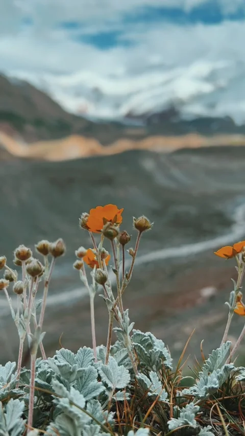 View of Lenin Peak, one of the highest peaks of Central Asia.  Stock Footage 270298510