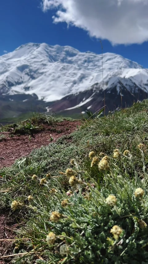 View of Lenin Peak, one of the highest peaks of Central Asia.  Stock Footage 270299067