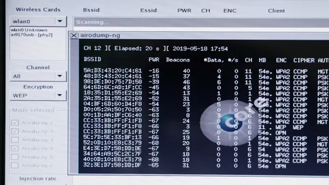 View of lifelike computer hacker tools set on PC screen. Network packet sniffer Stock Footage 124642893