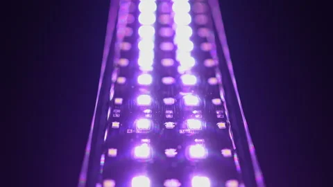 View of light emitting diode led use less energy than standard light bulbs .. 動画素材 338300117