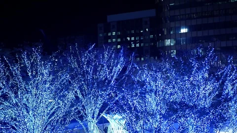 View to light up illumination on the tree in night time for christmas new y.. Stock-Footage 252033107