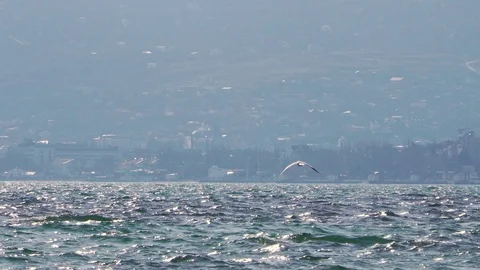 View of the light sea waves with the city in the distance Video stock 102317100