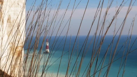 View of the lighthouse and the chalk cliff through the waving stems of dry grass Stock Footage 103924614