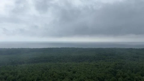 View from Lighthouse Over Forest by the Sea, Cloudy Weather Stock Footage 281905006