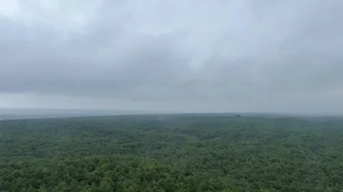 View from Lighthouse Over Forest by the Sea, Cloudy Weather Stock Footage 281905022