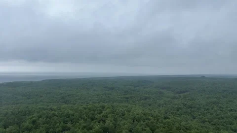 View from Lighthouse Over Forest by the Sea, Cloudy Weather Stock Footage 281905024