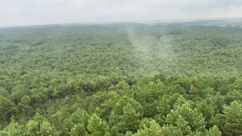 View from Lighthouse Over Forest by the Sea, Cloudy Weather Stock Footage 281905044