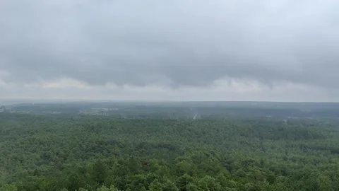 View from Lighthouse Over Forest by the Sea, Cloudy Weather Stock Footage 281905090