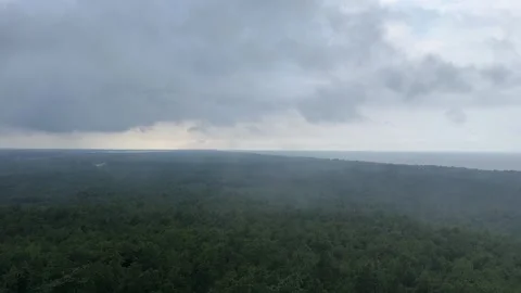 View from Lighthouse Over Forest by the Sea, Cloudy Weather Stock Footage 281905109