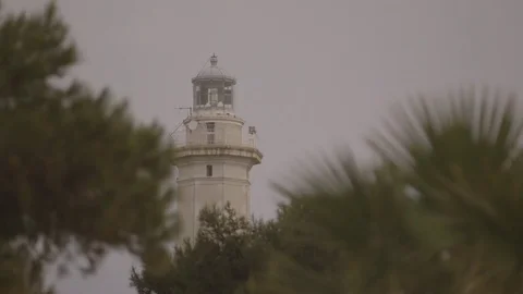 View of the lighthouse through the trees Stock Footage 72618931