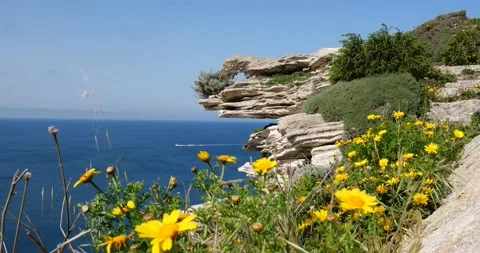 View of the limestone cliff of Bonifacio town in Corsica, France Stock Footage 195038909