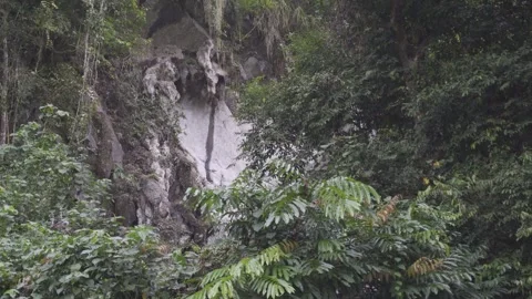 View of Limestone Mountain Wall from Jungle Canopy Opening Stock Footage 280380953