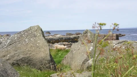 View of Lista, Norway Видео 339641405