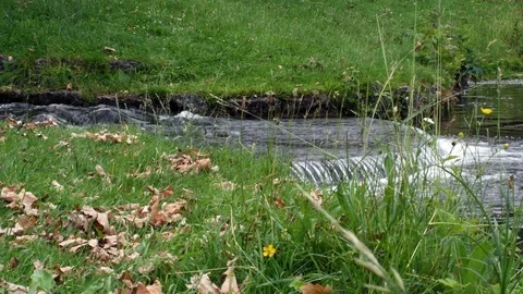 View of a little brook in the park of Munich. Germany. Running water is visible Stock Footage 120543388