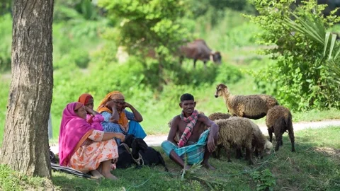 View of local people resting with their livestock, Bangladesh. Video stock 334956220