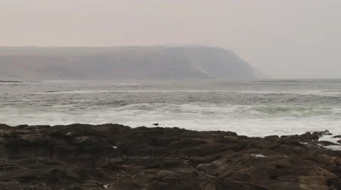 View to the located at the sea side buildings of the Arica city, Chile. Stock Footage 49379986