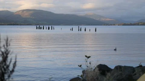 View Of Loch Lomond And Ducks On Water Stock-Footage 219694638