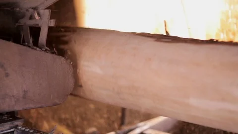 View of log moving along conveyor belt at the furniture factory. Removal of bark Stock Footage 84136804
