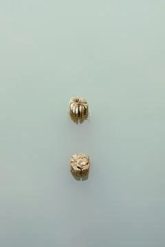 View of logs on the river. Stock Photos