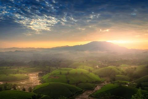 View of Long Coc tea hill, Phu Tho province, Vietnam in an early foggy mornin Stock Photos