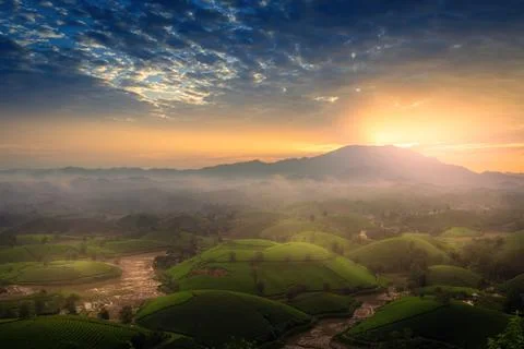 View of Long Coc tea hill, Phu Tho province, Vietnam in an early foggy mornin Stock Photos