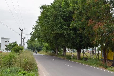 View of a long road Stock Photos