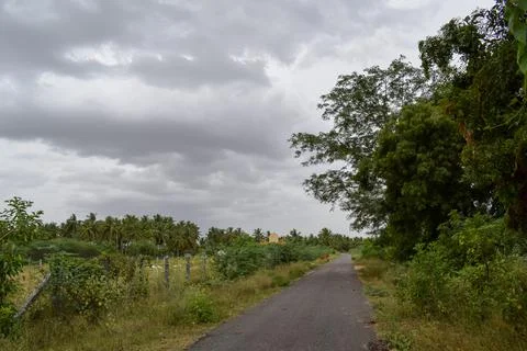 View of a long road Stock Photos